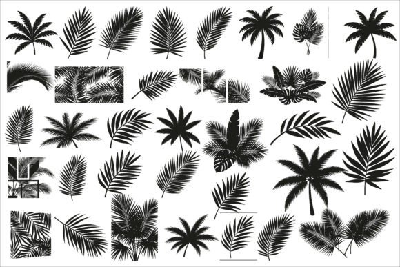 Download Stylish Tropical Palm Wall Decor Design - Decor Collection