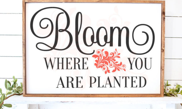 Download Bloom Where You Are Planted Decor - Decor Collection